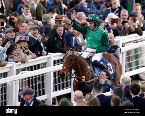 cheltenham arkle challenge